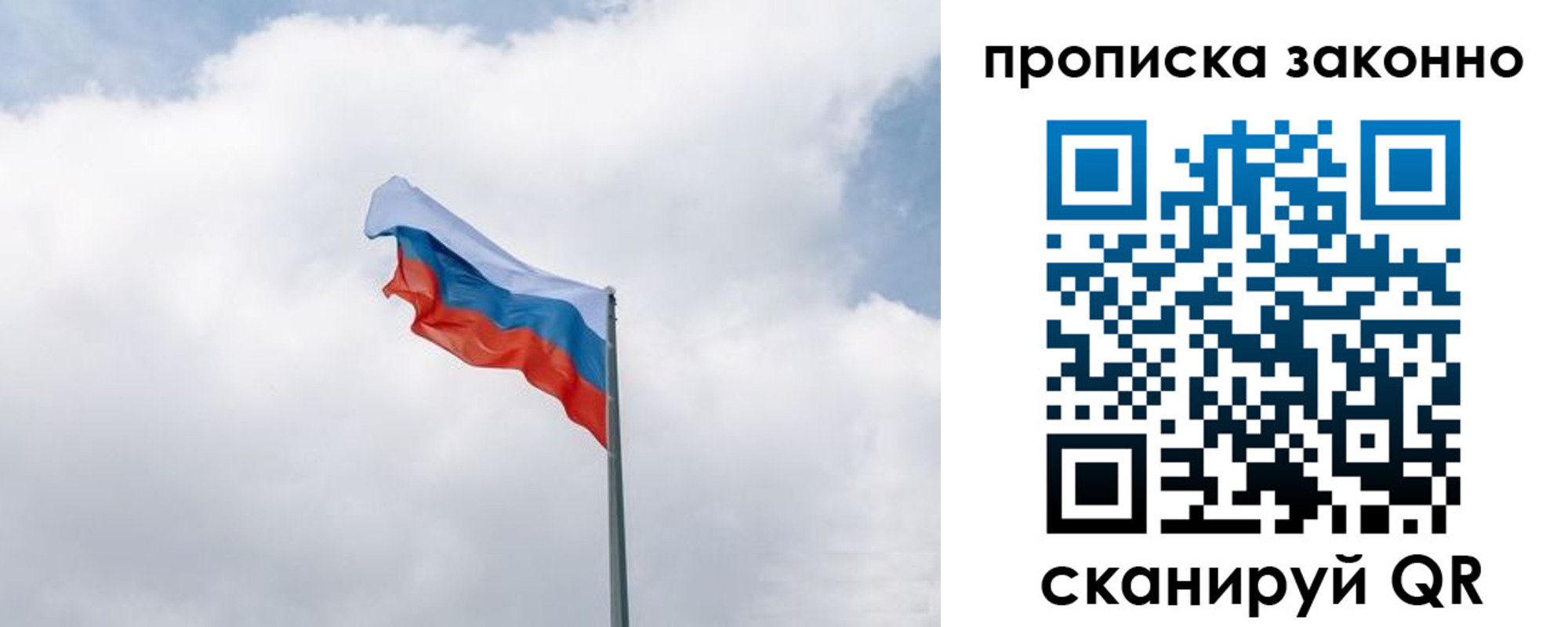 прописка поиск в Московской области